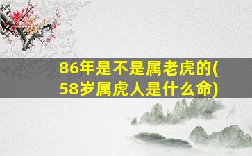 86年是不是属老虎的(58岁属虎人是什么命)