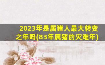 2023年是属猪人最大转变之