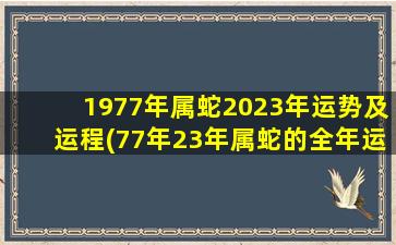 1977年属蛇2023年运势及运