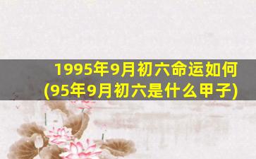 1995年9月初六命运如何(95年9月初六是什么甲子)