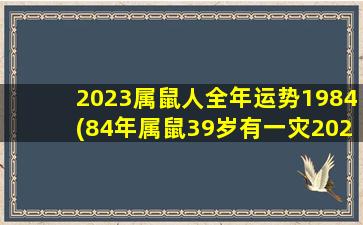 2023属鼠人全年运势1984(8