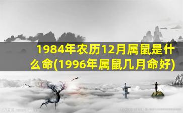 1984年农历12月属鼠是什么