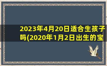 2023年4月20日适合生孩子吗(2020年1月2日出生的宝宝好么)