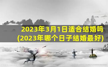 2023年3月1日适合结婚吗(2023年哪个日子结婚最好)