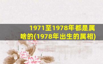 1971至1978年都是属啥的(1978年出生的属相)