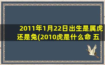 2011年1月22日出生是属虎还是兔(2010虎是什么命 五行属什么)