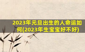 2023年元旦出生的人命运如何(2023年生宝宝好不好)