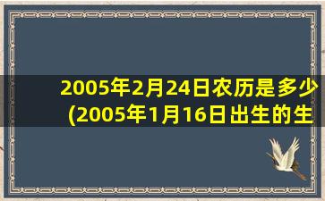 2005年2月24日农历是多少(2005年1月16日出生的生日是多少)