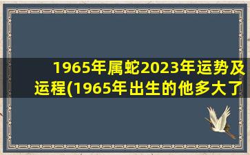 1965年属蛇2023年运势及运