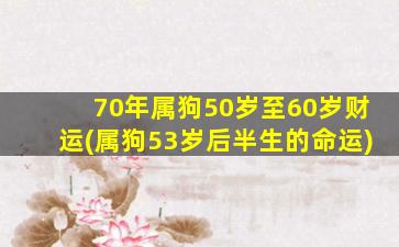 70年属狗50岁至60岁财运(属