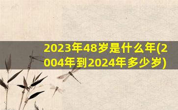 2023年48岁是什么年(2004年到2024年多少岁)