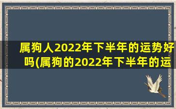 属狗人2022年下半年的运势