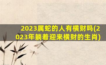 2023属蛇的人有横财吗(20