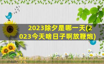 2023除夕是哪一天(2023今天啥日子啊放鞭炮)