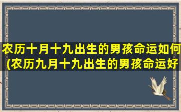 农历十月十九出生的男孩命运如何(农历九月十九出生的男孩命运好不好)