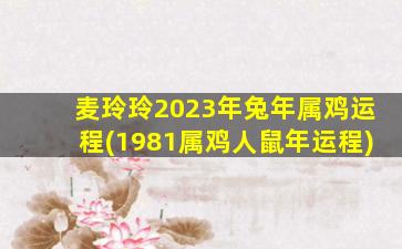 麦玲玲2023年兔年属鸡运