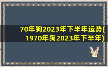 70年狗2023年下半年运势(