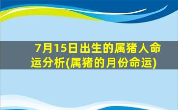 7月15日出生的属猪人命运