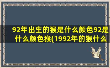 92年出生的猴是什么颜色92是什么颜色猴(1992年的猴什么颜色会旺)