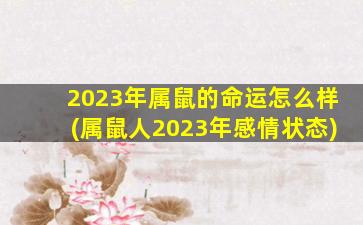 2023年属鼠的命运怎么样