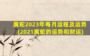 属蛇2023年每月运程及运势