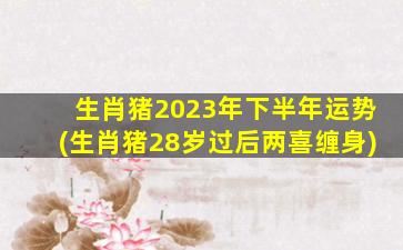 生肖猪2023年下半年运势