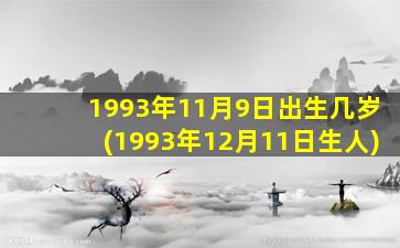 1993年11月9日出生几岁(1993年12月11日生人)