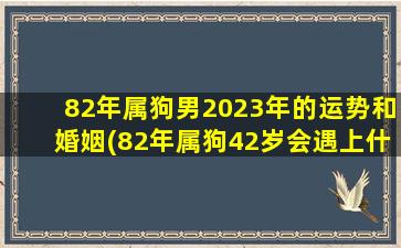 82年属狗男2023年的运势和