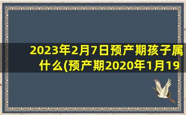 2023年2月7日预产期孩子属什么(预产期2020年1月19是属什么)