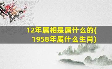 12年属相是属什么的(1958年属什么生肖)