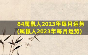 <strong>84属鼠人2023年每月运势(属</strong>