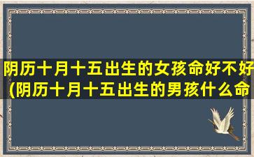 阴历十月十五出生的女孩命好不好(阴历十月十五出生的男孩什么命)