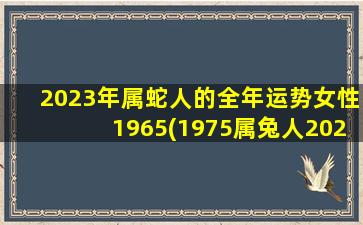 2023年属蛇人的全年运势女