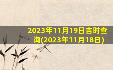 2023年11月19日吉时查询(2023年11月18日)