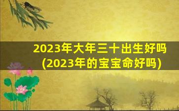 2023年大年三十出生好吗(2023年的宝宝命好吗)