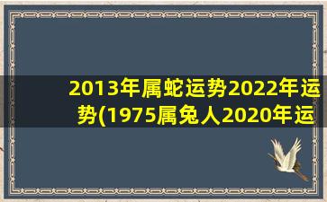 2013年属蛇运势2022年运势