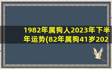 1982年属狗人2023年下半年运