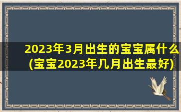 2023年3月出生的宝宝属什么(宝宝2023年几月出生最好)