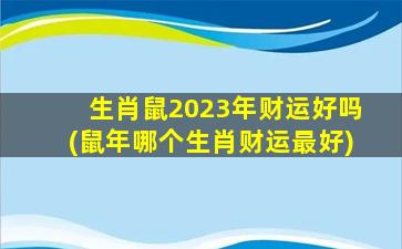 生肖鼠2023年财运好吗(鼠