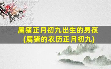 <b>属猪正月初九出生的男孩(属猪的农历正月初九)</b>