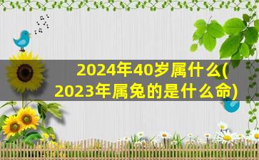 2024年40岁属什么(2023年属兔的是什么命)