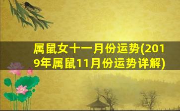 属鼠女十一月份运势(2019年属鼠11月份运势详解)