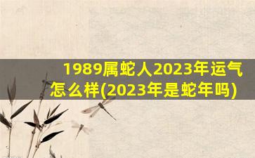 1989属蛇人2023年运气怎么