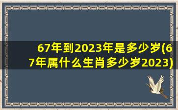 67年到2023年是多少岁(67年属什么生肖多少岁2023)