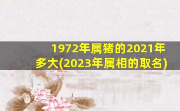 1972年属猪的2021年多大(2