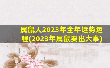 属鼠人2023年全年运势运程