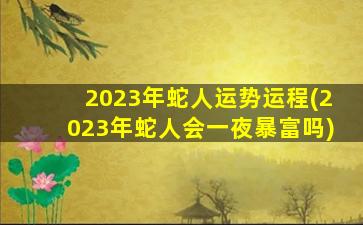 2023年蛇人运势运程(2023年