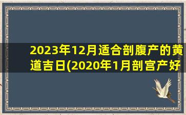 2023年12月适合剖腹产的黄道吉日(2020年1月剖宫产好日子)