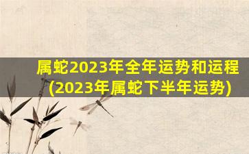 属蛇2023年全年运势和运程