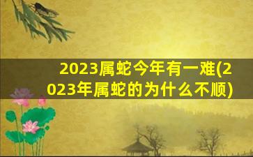 2023属蛇今年有一难(2023年